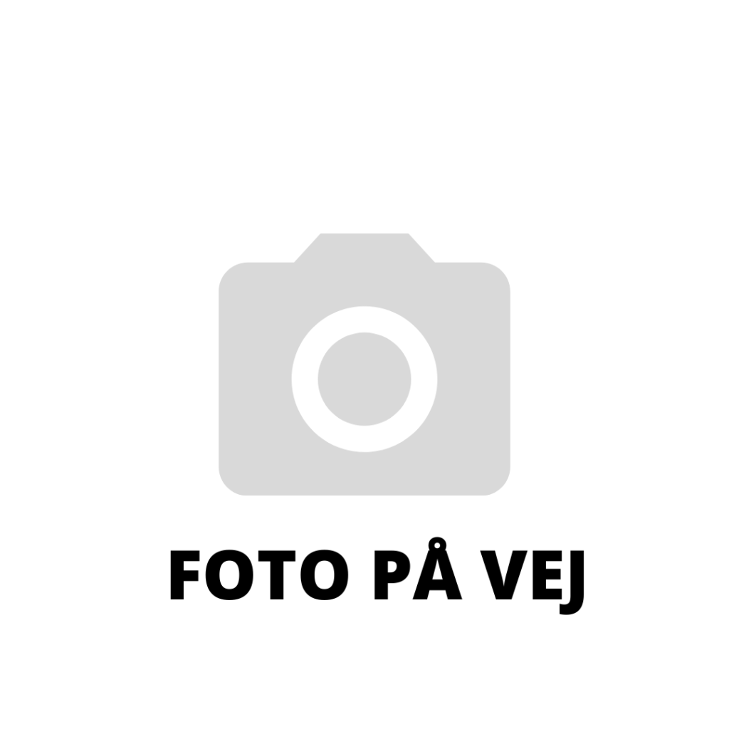 Fivel