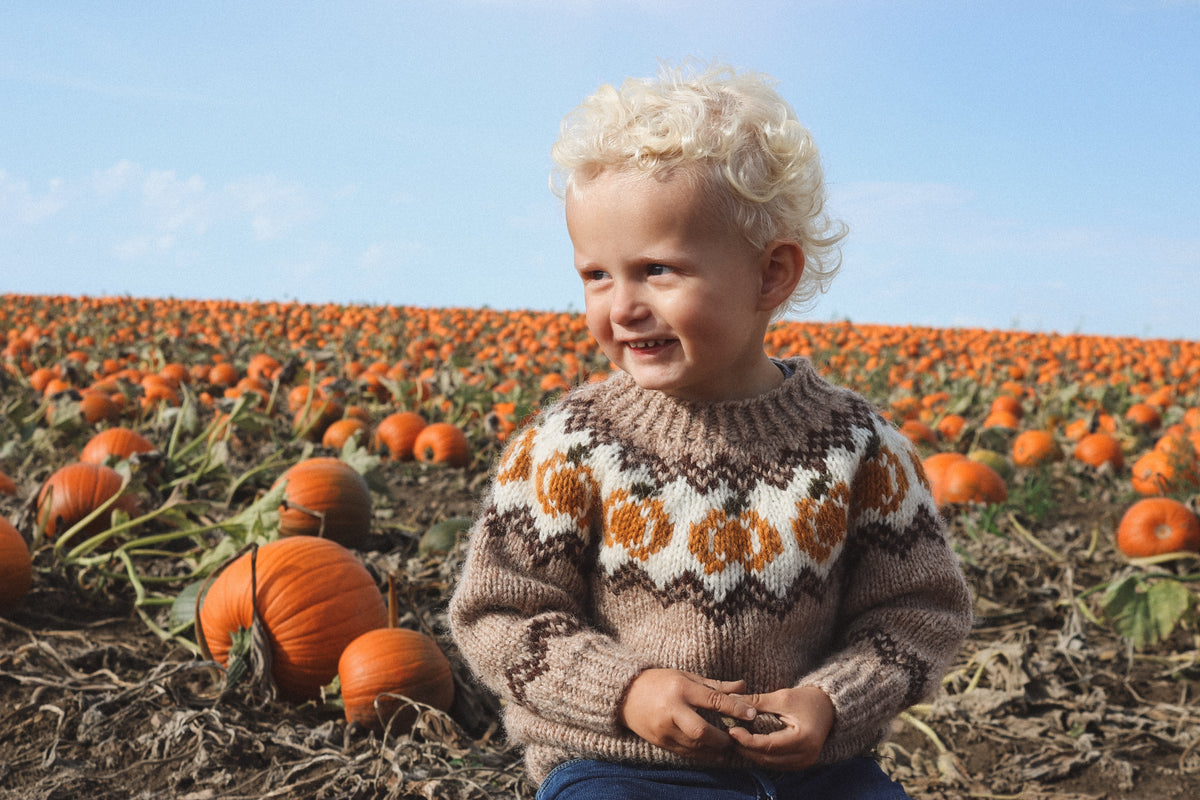 Pumpkin Sweater, barn